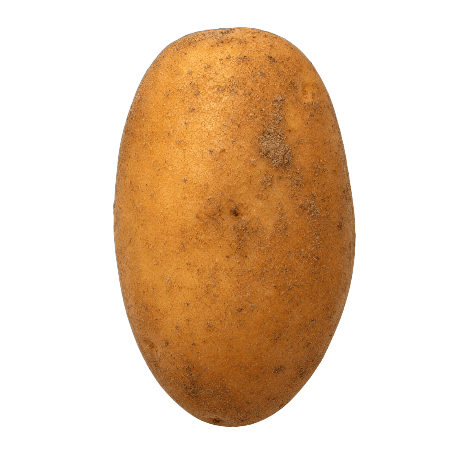 Bulwa ziemniaka — segment surowca